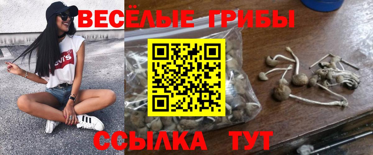 Псилоцибиновые грибы GOLDEN TEACHER Краснознаменск